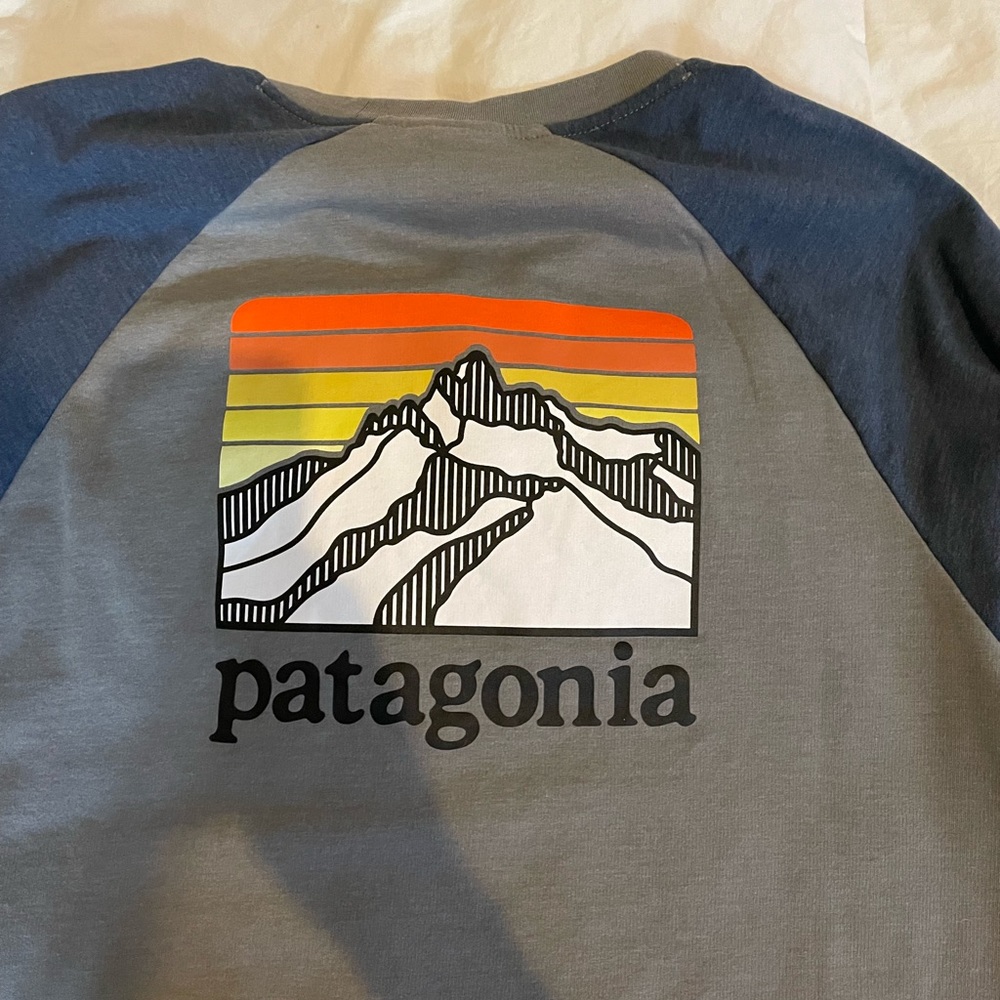 Mens Patagonia Ridge Lightweight Crew Sweatshirt